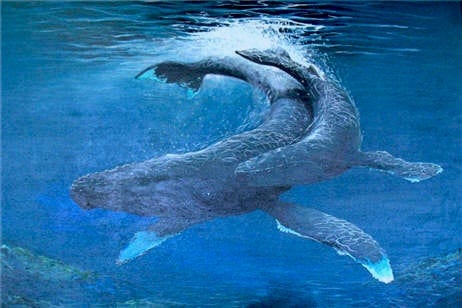 humpbackwhales3